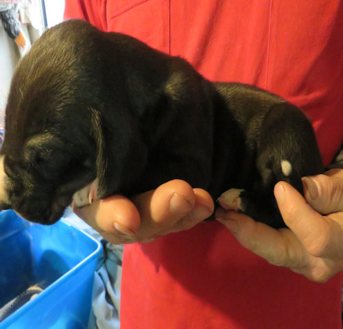 click on me to go to my page